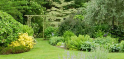 Conception de jardin à Saumur