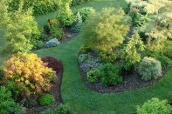 Paysagiste jardin à Saumur