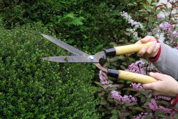 Entretien de jardins